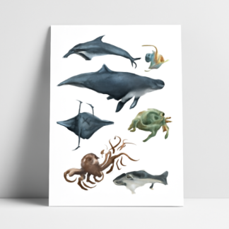 Custom Marine Life-Ocean Posters