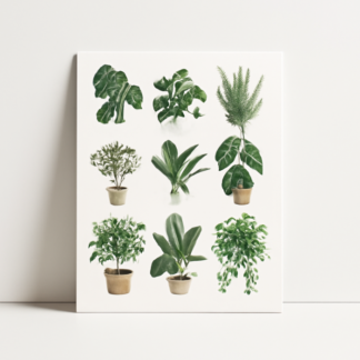 Custom Plants-Plant Posters